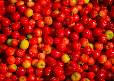 Acerola Cherry